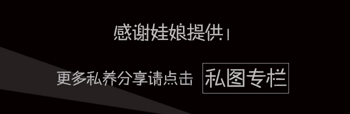 BJD SD 人偶 娃娃