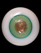 [Pre-Order] X-0031（14mm）