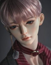 [Pre-Order] Eleven