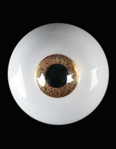 [Pre-Order] LH-1008 (12mm smaller iris)