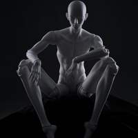 [Pre-Order] 77cm Male Body