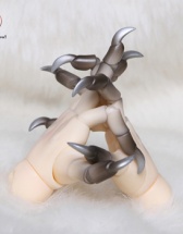 叔用关节爪（JHB-73-02）