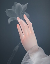 bjd 69大女普通手（HG-69-02）