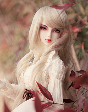 【梦璃私养】 from:空幻默默