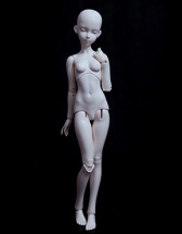 『58cm双关节分段女体2代』(B-G5...