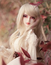 【梦璃私养】 from:空幻默默