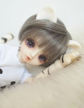 【幼白虎私养】=犬系猫科动物 · 云崖咖...