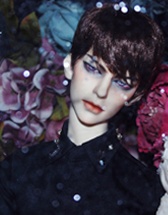 【雷诺私养】 from:李夫人