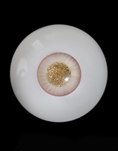 幽荧官眼LH1010（14mm小虹膜）