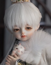 幼尾火虎 同款毛坯发，非造型发 6分假发WG6-1004