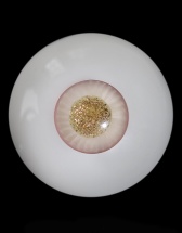 小湘眼珠LH-1024（14mm小虹膜）