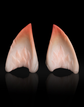 二十八星宿·心月狐 兽耳加妆