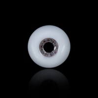 眼珠LH-GE0001（14mm小虹膜）...