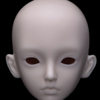 房日兔  素头展示