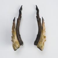 【限时单售】龙魂人形社 BJD配件  腾黄角LHAP-0067 乘黄同款